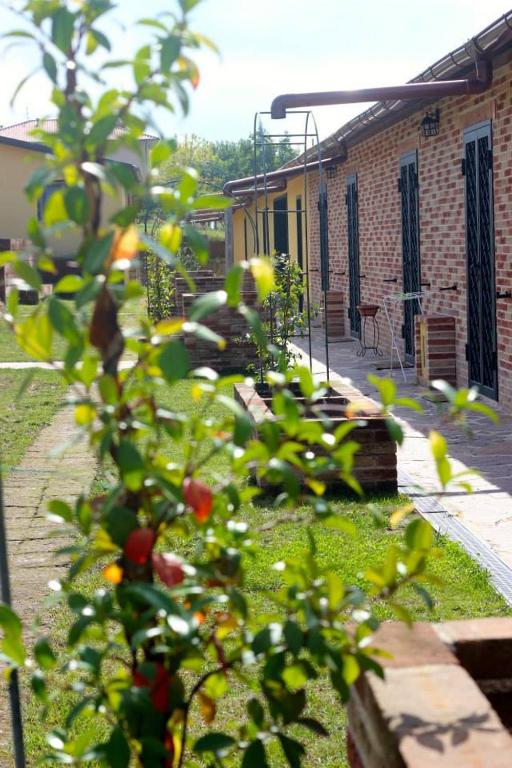 a plant with fruits on it in a garden at Agriturismo Sentiero delle Fiabe in Sirolo