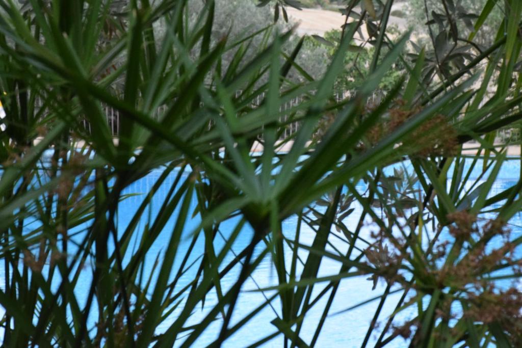 Fotografie z fotogalerie ubytování Villa Tasca v destinaci Caltagirone