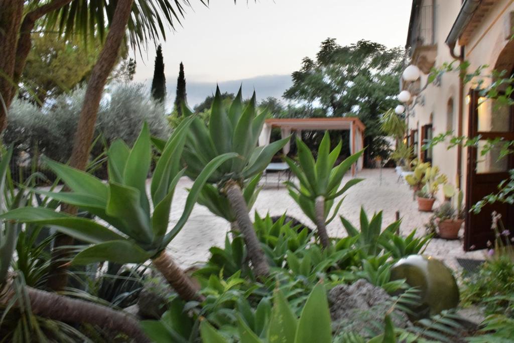 Zahrada ubytování Villa Tasca