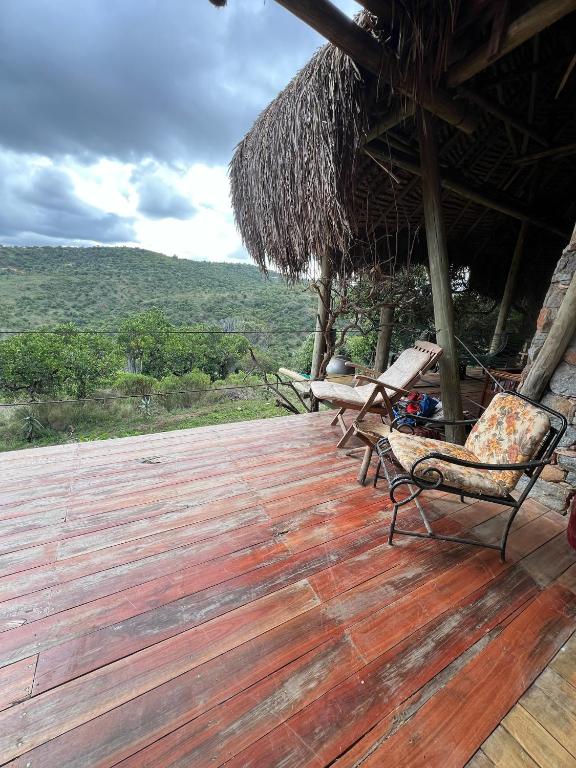 Příroda nedaleko vily