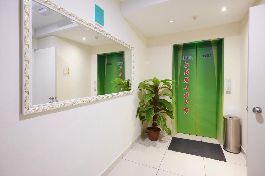 A bright hotel corridor landing with a green lift door, large mirror and potted plant.