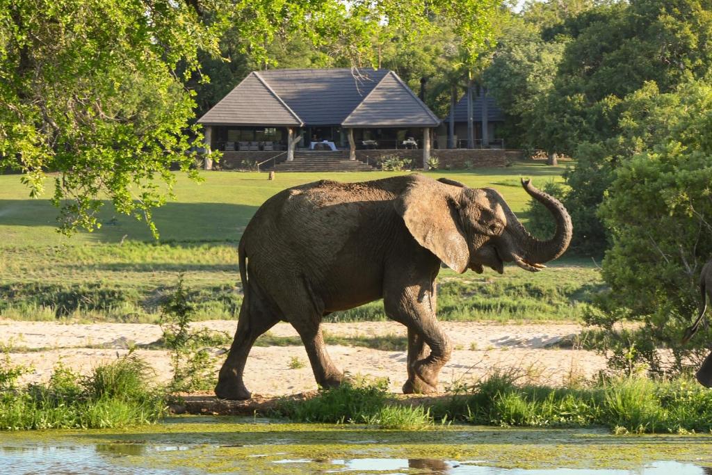 Άλλα ζώα σε αυτό το καταφύγιο ή στη γύρω περιοχή