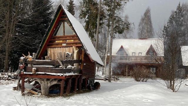 BystreChyża Chata na Krańcu Świata的一座带雪盖屋顶的小木屋