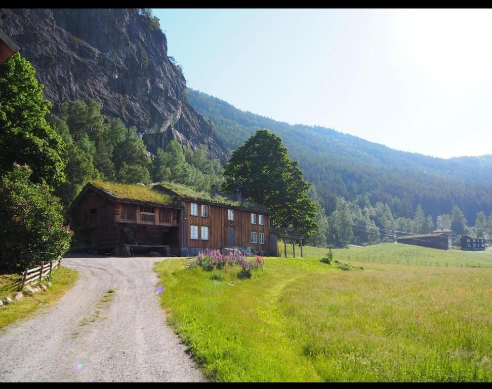 Příroda nedaleko vily