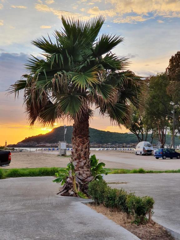 a palm tree in a parking lot with the sunset at Country Style Home in Mesopótamon