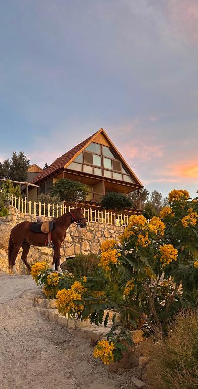 a horse standing in front of a house at Dana luxury huts in Dana
