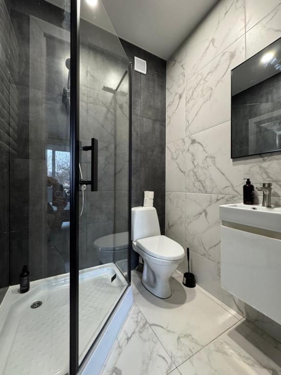 伊万诺-弗兰科夫斯克Smart Modern loft apartments 1的浴室里有马桶、淋浴和洗手池。