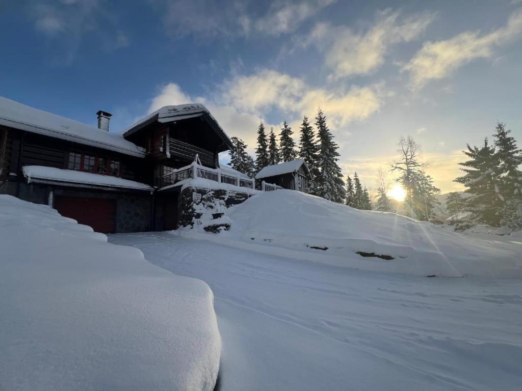 Το Cabin in Kvamskogen τον χειμώνα