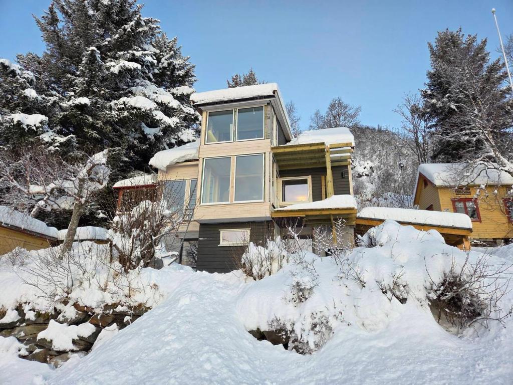 Senja Skaland v zimě