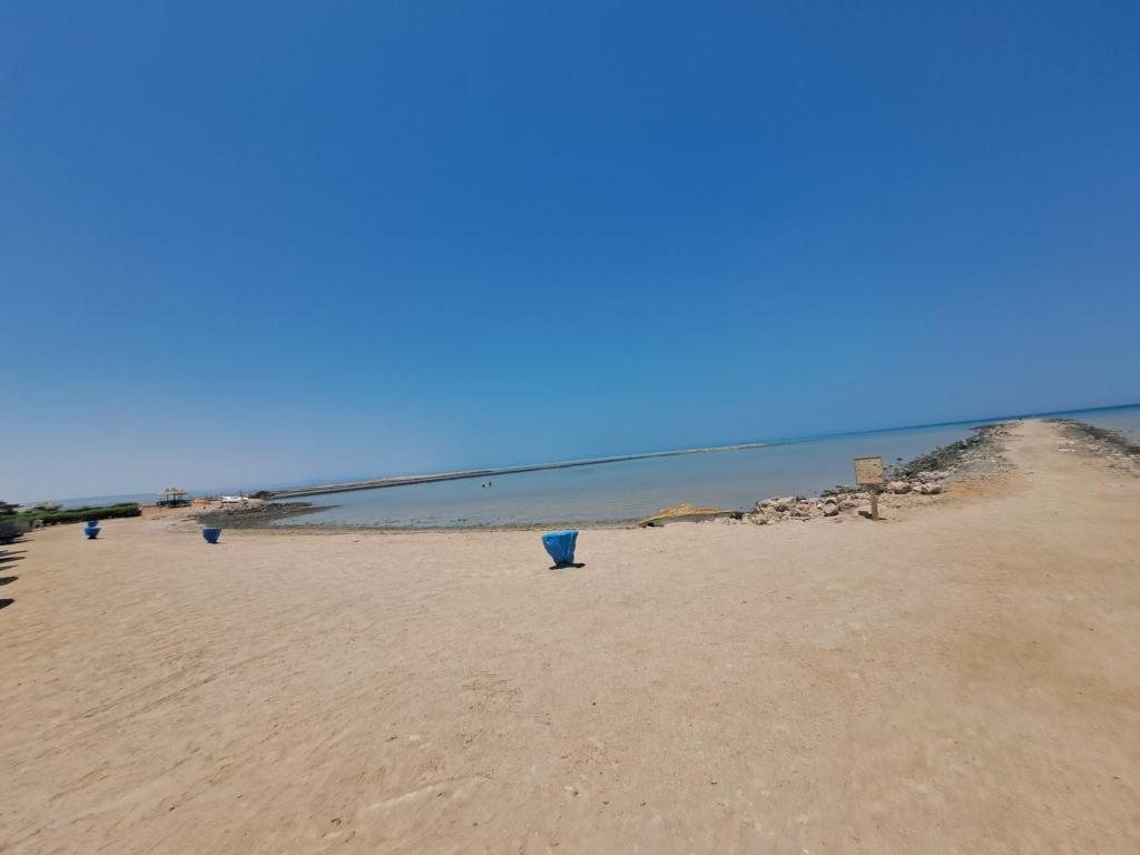 a sandy beach with the ocean in the background at Turtles beach resorts in Hurghada
