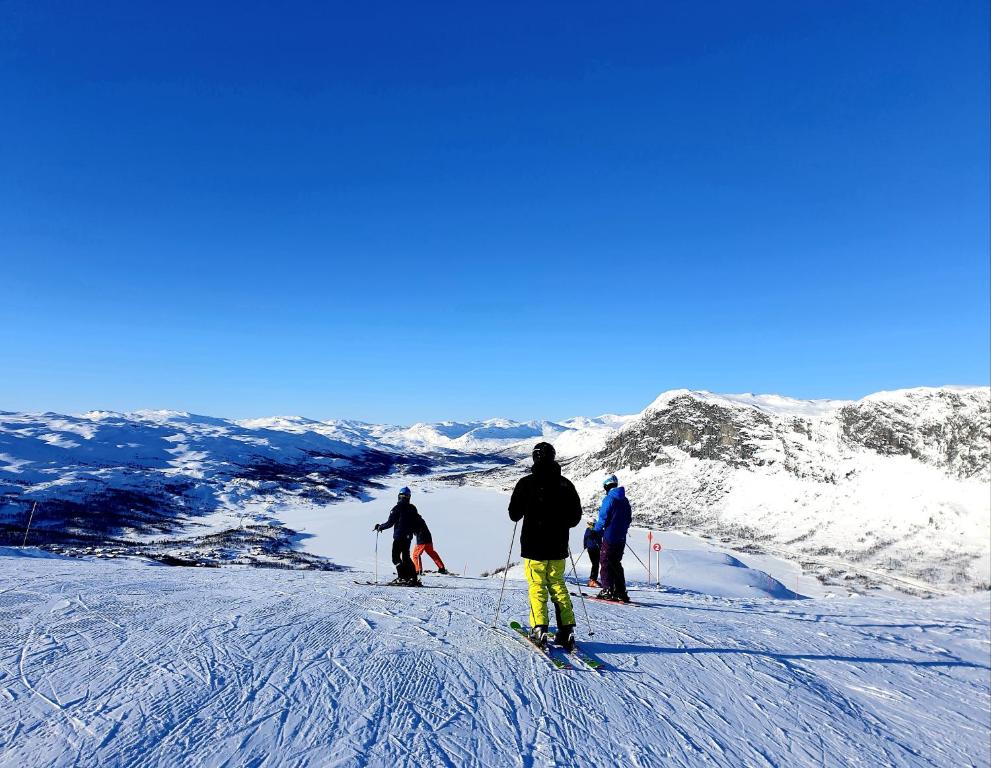 Επισκέπτες που μένουν στο Filefjellhytta ved Tyin og Jotunheimen