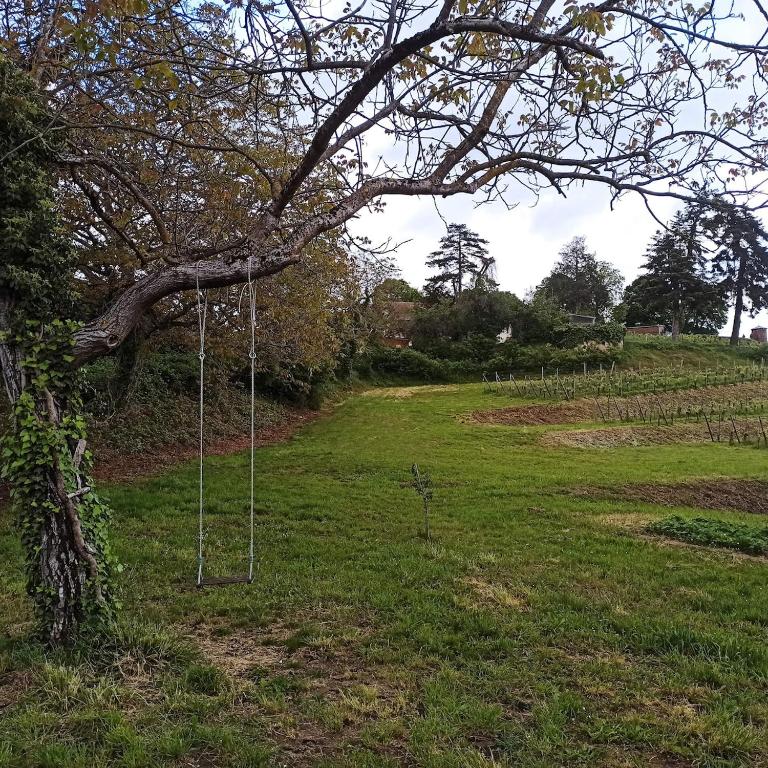 Au pied du Château d'Isenbourg, très beau F4 neuf avec jardin privé! – photo 20