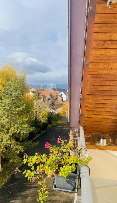 Grillen's Garden – Foto 10