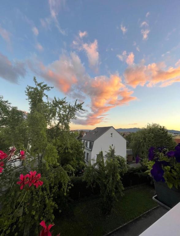 Grillen's Garden – Foto 13
