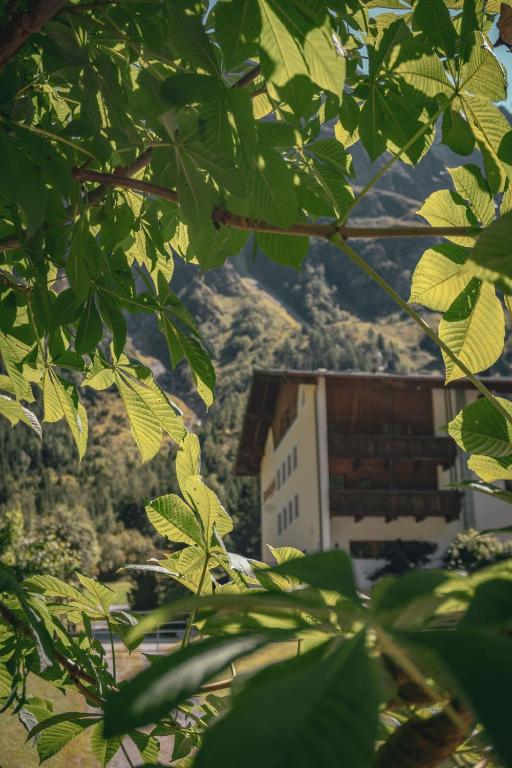 a view of a building through the leaves of a tree at Pension Steinkogel in Sankt Leonhard im Pitztal