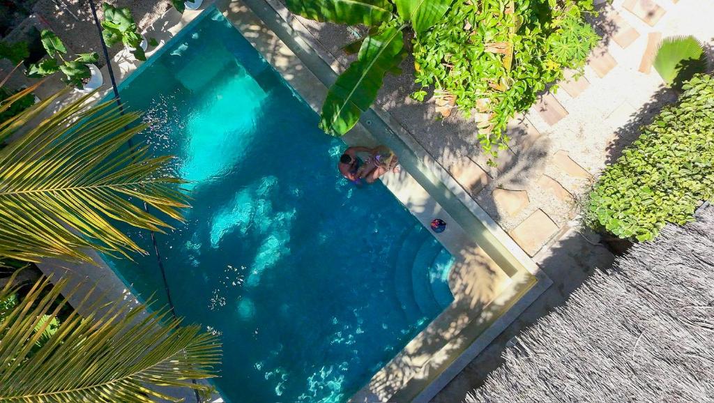 ブウェワウにあるZAN Oasis Hotelの青いスイミングプールでの犬の遊泳