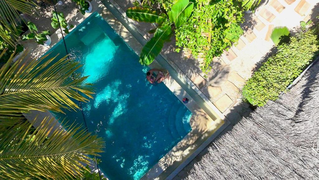 Πισίνα στο ή κοντά στο ZAN Oasis Hotel