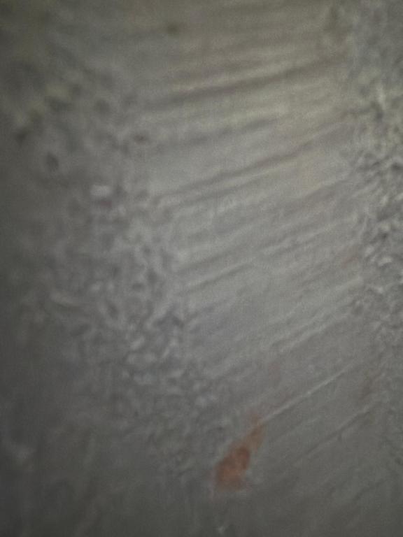 Fotografie z fotogalerie ubytování Apartamento 3 habitaciónes 1 baño- estacionamiento privado-aire acondicionado v destinaci Rancagua