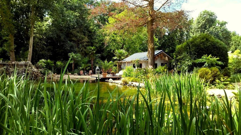 einen Garten mit einem Teich und ein Haus im Hintergrund in der Unterkunft CoCo Cabin Luxe Tiny House - Privé Hottub - Strand & zwemvijver - Privacy in Woudenberg