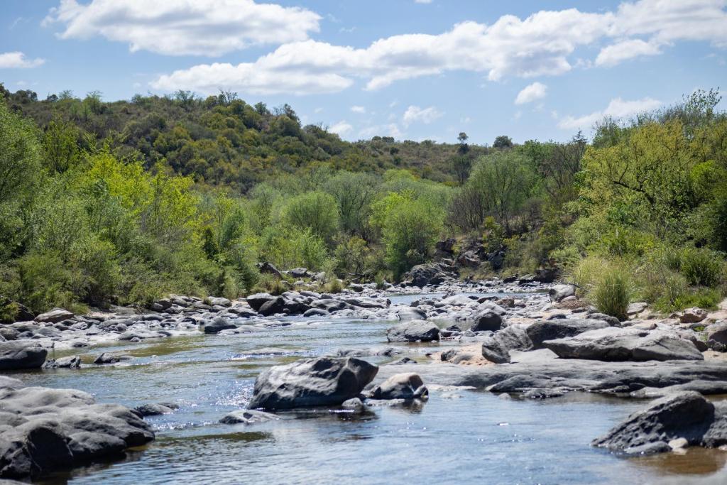 a river with rocks and trees in the background at BUENA VIDA I Apart Hotel in Villa Icho Cruz