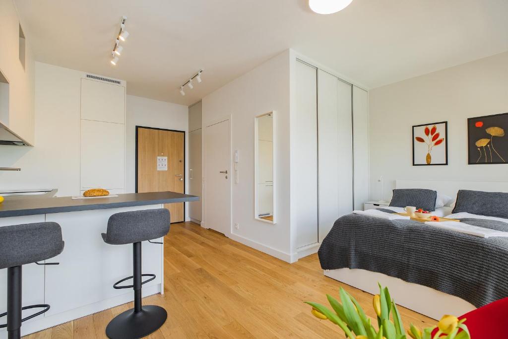 ShortStayPoland Zdziechowskiego - 11