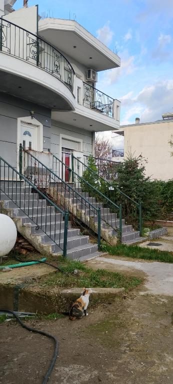 Budova, kde se apartmán nachází