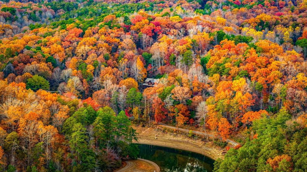 een luchtfoto van een brug in een herfstbos bij The Bears & Bees Lodge in Greens Mill