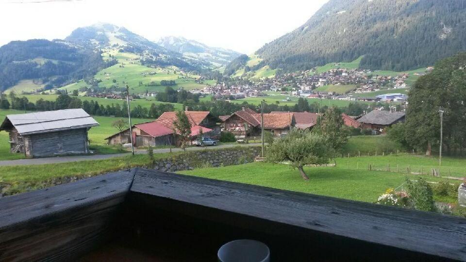 a view of a village from the roof of a house at Mannried 2 1 2 Zimmerwohnung Rustikal in Zweisimmen