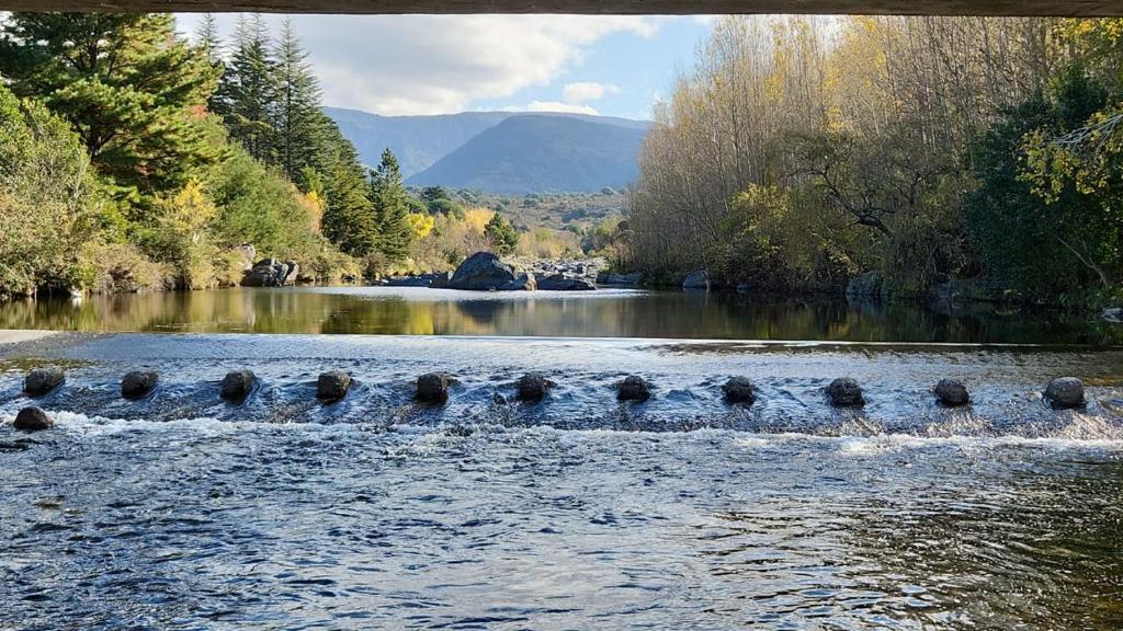 un gruppo di anatre in un fiume sotto un ponte di MONTE CABAÑA San Clemente a San Clemente