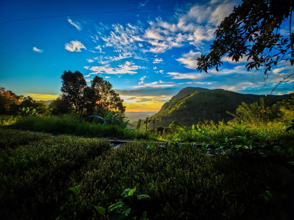 a view of a field with mountains in the background at Ella Happy View Homestay in Ella