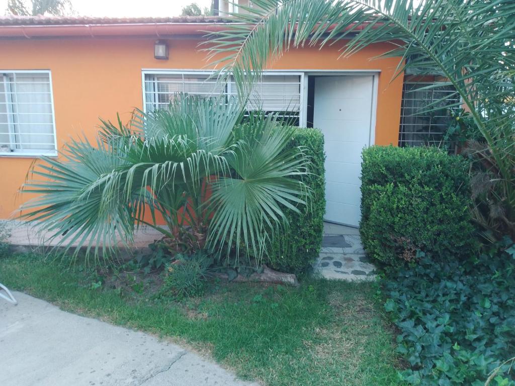 eine Palme vor einem Haus in der Unterkunft Chalet y rio in Villa Carlos Paz