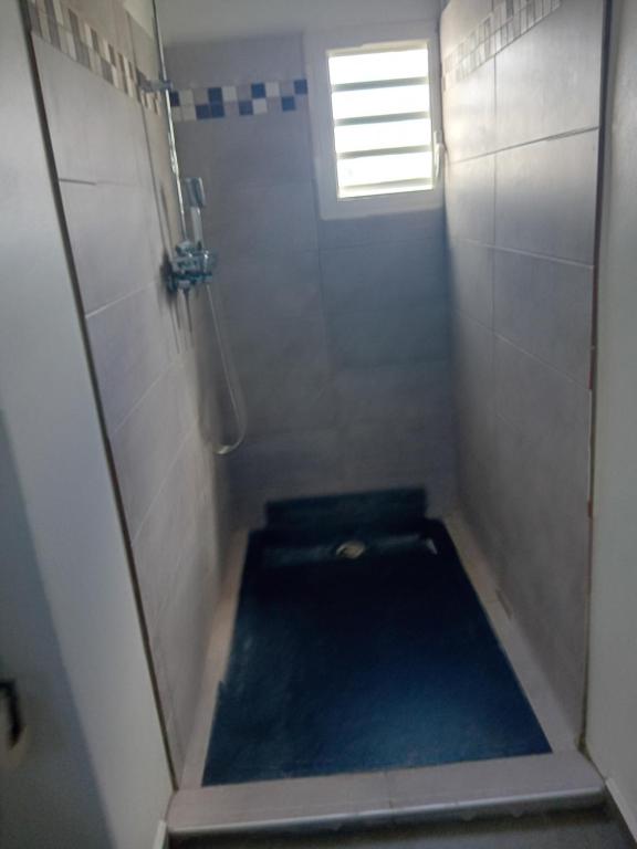 a small bathroom with a shower with a blue floor at sci careffour dugomier in Le Moule