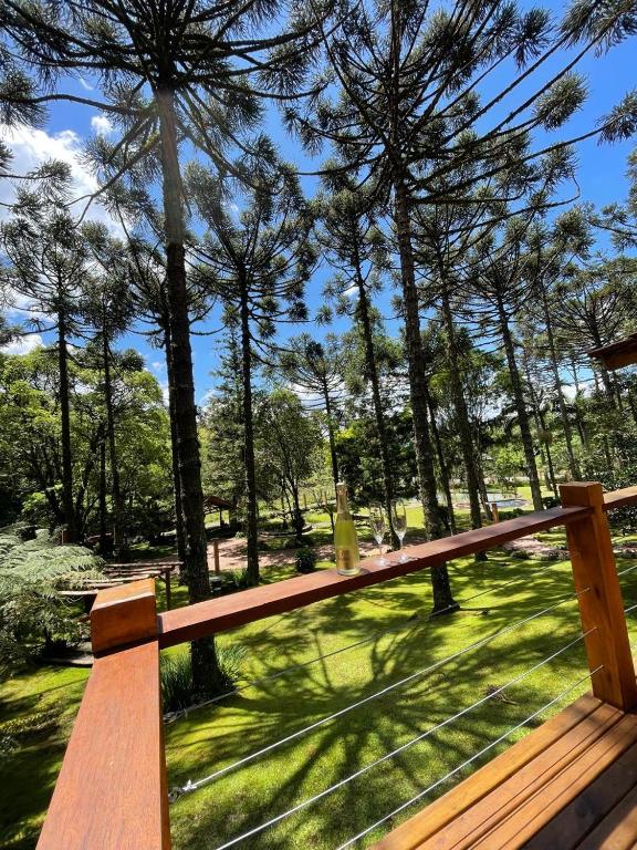 a wooden bench in a park with trees at Morada Tito Georgi in Gramado