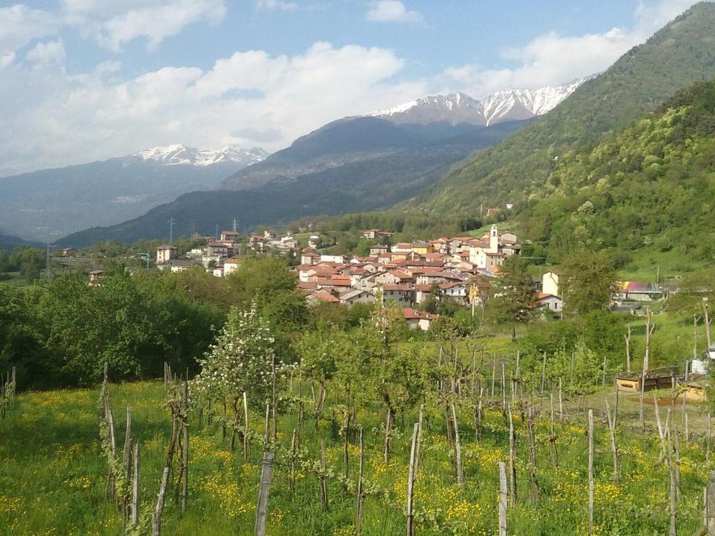 Φυσικό τοπίο κοντά σε αυτό το διαμέρισμα