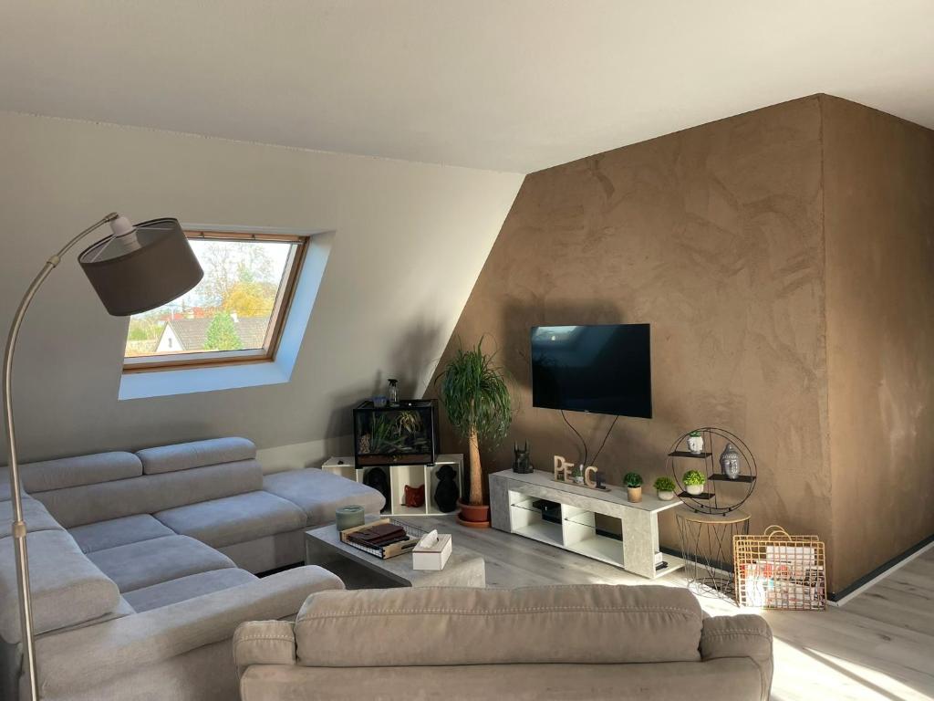 a living room with a couch and a tv at Appartement Dôme 2 suites parentales in Ostwald