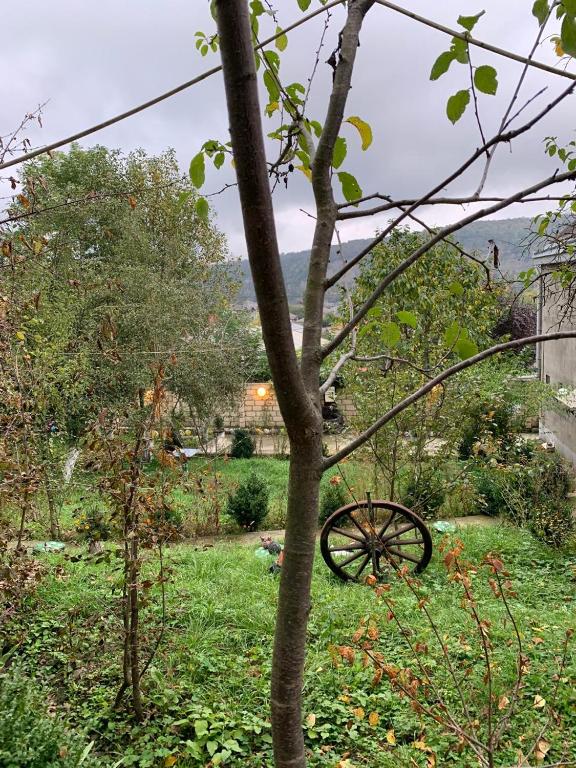 Zahrada ubytování Kendland