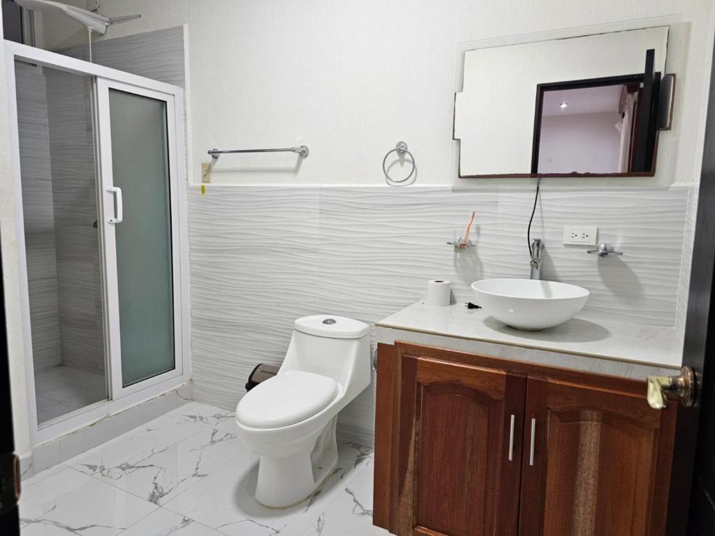 ein Badezimmer mit Toilette, Waschbecken und Dusche in der Unterkunft Habitación con pérgola independiente in Flores