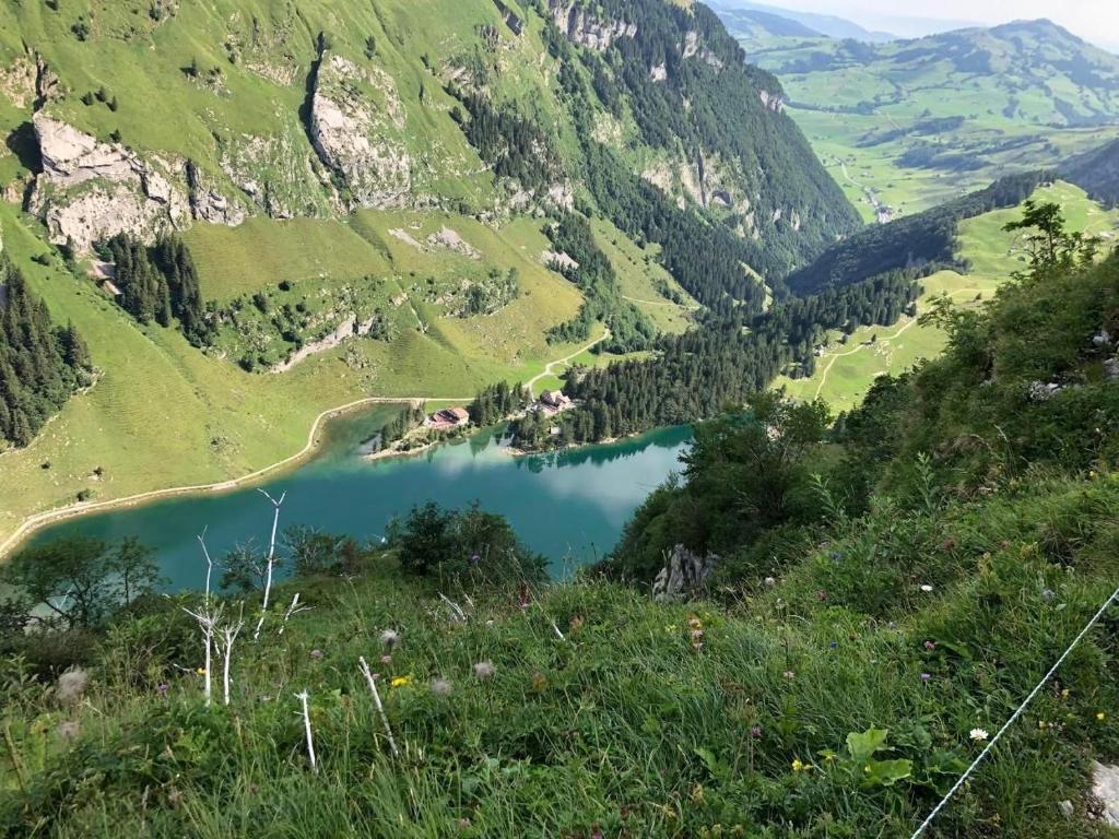 a view of a mountain valley with a lake at Ferienwohnung Im Dorf Urnäsch in Urnäsch