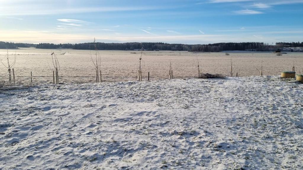 a field covered in snow with a fence in the background at trygga huset in Sigtuna