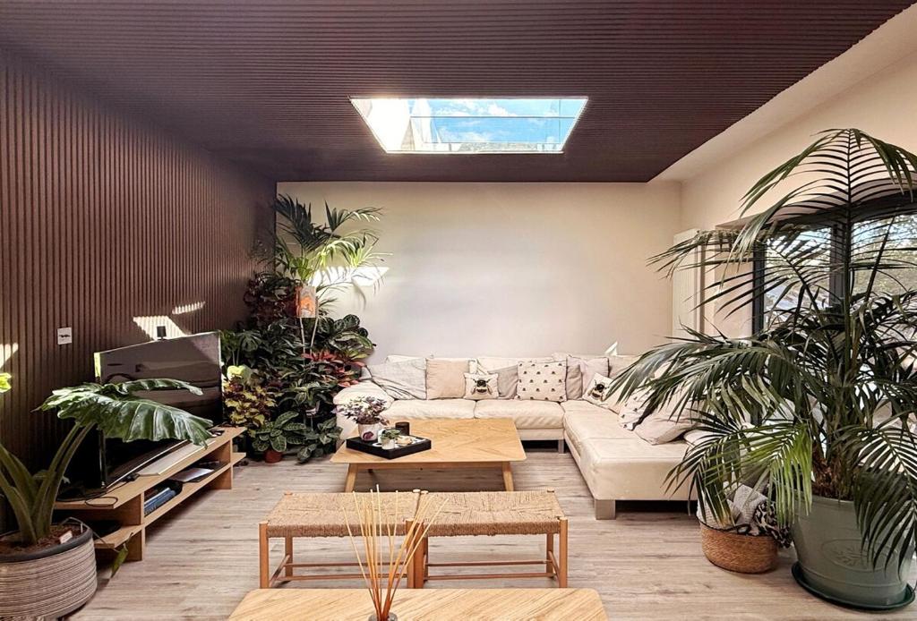 ein Wohnzimmer mit Topfpflanzen und einem Sofa in der Unterkunft High Tree - Stylish Detached Home - South Park and Town Centre in Macclesfield