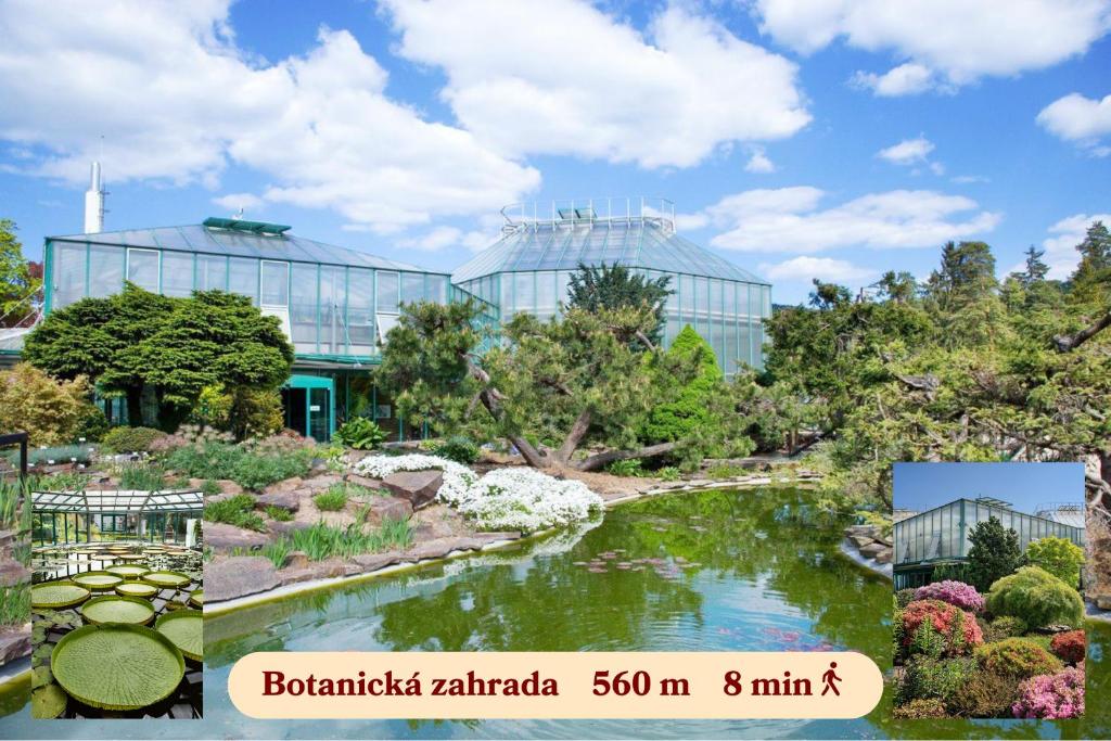 Wellness Penzion U Muzea - 13