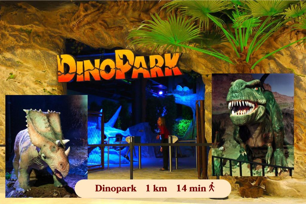 Wellness Penzion U Muzea - 16