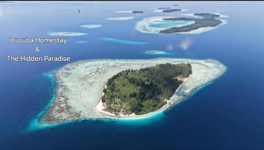 an aerial view of an island in the ocean at Raja Ampat Jousuba Homestay in Minyaifuin