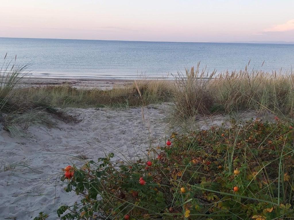 Природа в окрестностях дома для отпуска