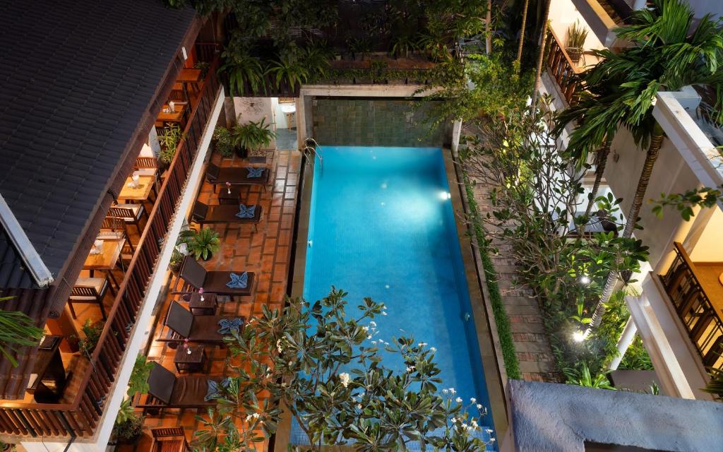 暹粒Indra Angkor Residence的植物群中游泳池的顶部景色