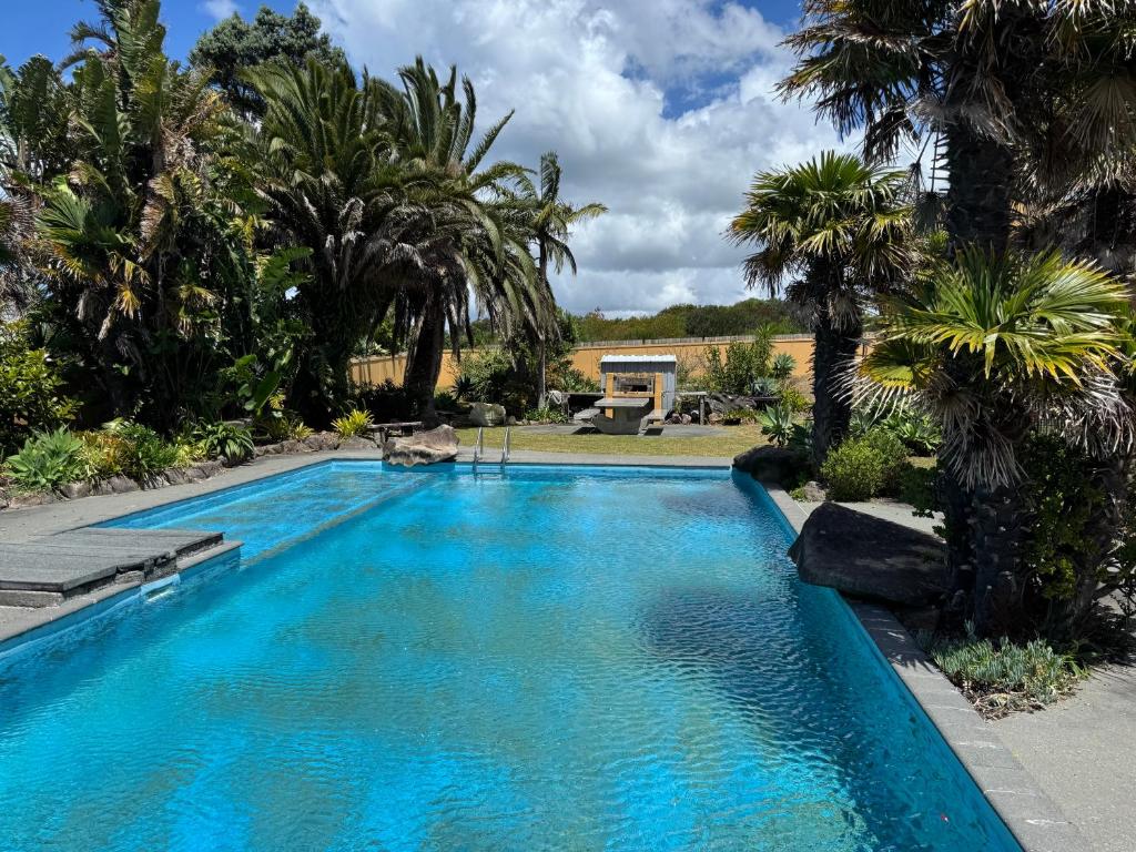 a swimming pool with palm trees in a yard at La Belle Maison - Ruakaka Holiday Apartment in Ruakaka