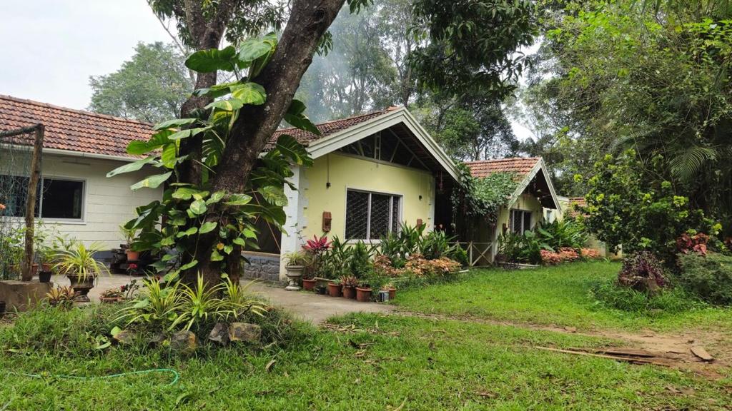une maison blanche avec un arbre dans la cour dans l'établissement Grace Backwater Villa Coorg, à Suntikoppa