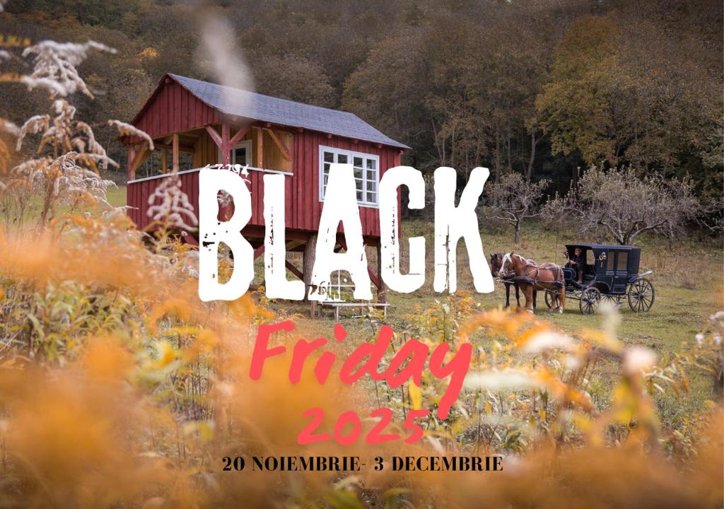 Ein Plakat für Black Friday mit einem Pferd und einer roten Scheune in der Unterkunft Valea Verde Retreat Transilvania in Cund