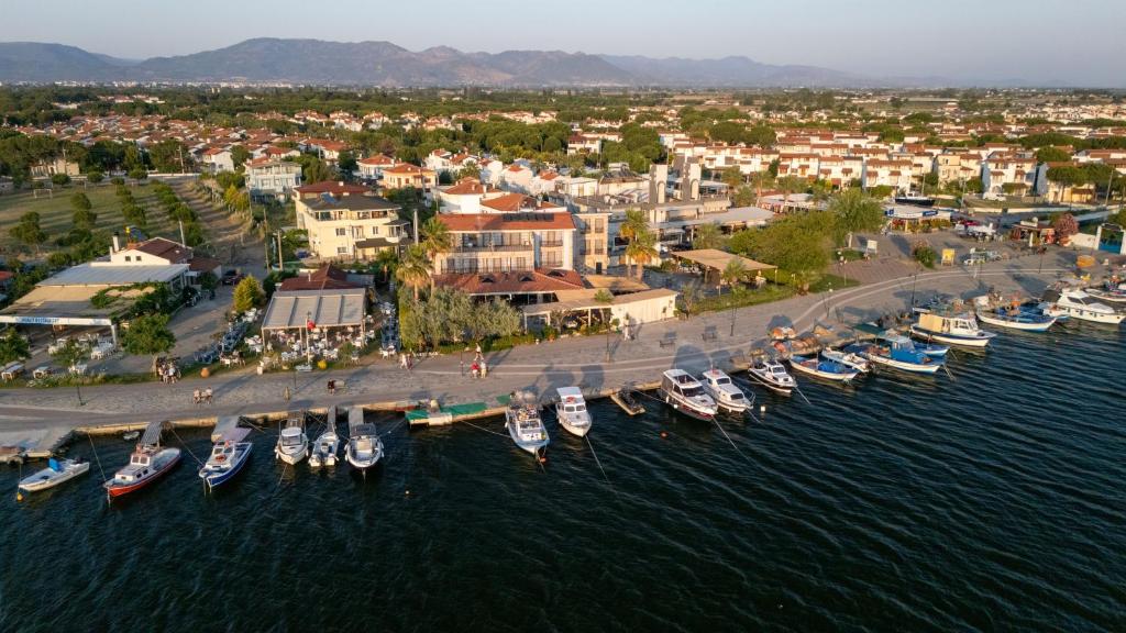 Φυσικό τοπίο κοντά σε αυτό το ξενοδοχείο