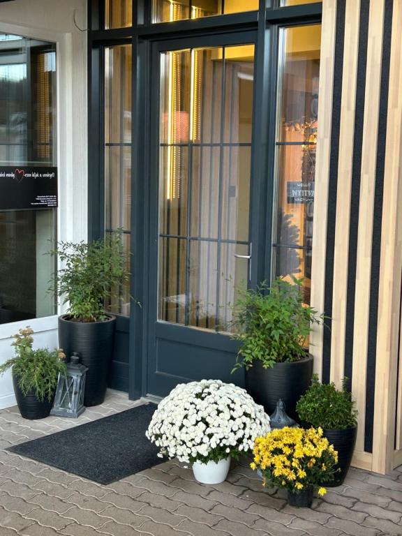 un grupo de plantas en macetas frente a un edificio en Hotel Rittinger, en Bonyhád